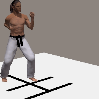 MAWASHI MAE ASHI GERI