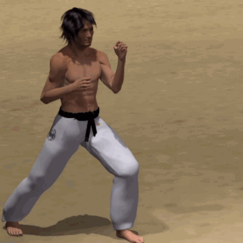 MAWASHI MAE ASHI GERI