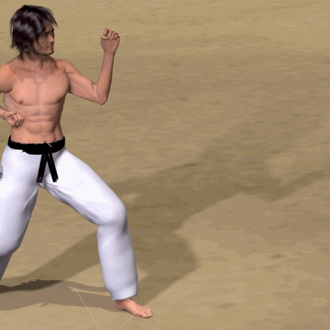 MAWASHI MAE ASHI GERI