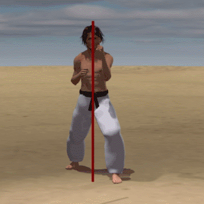  MAWASHI GERI KEKOMI