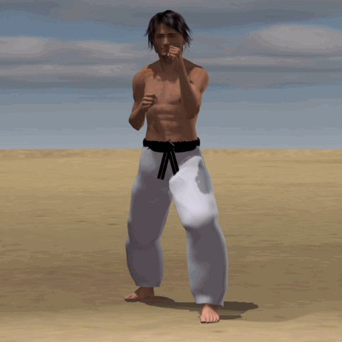  MAWASHI GERI KEKOMI