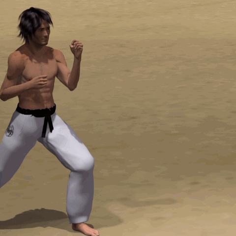  MAWASHI GERI KEKOMI