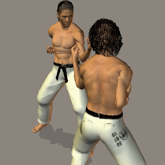 MAWASHI GERI