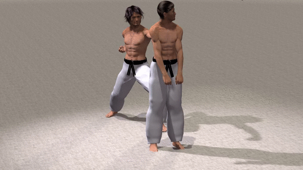 MAWASHI GYAKU TSUKI