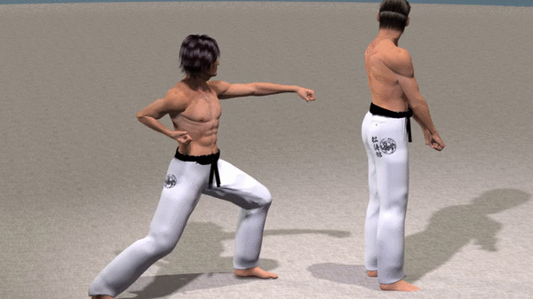 MAWASHI GYAKU TSUKI