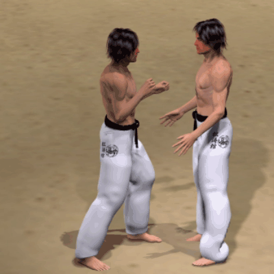 MAWASHI  HIZA GERI
