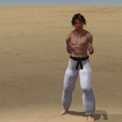 MAWASHI  HIZA GERI
