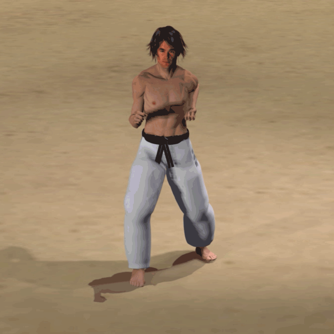 KAKATO MAWASHI GERI
