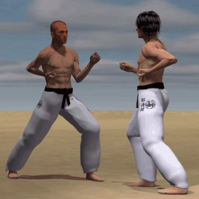 KAKATO MAWASHI GERI