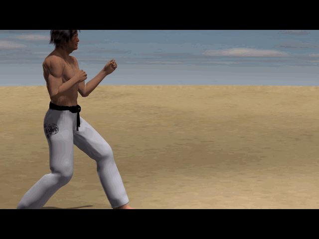 MAWASHI MAE ASHI TOBI GERI