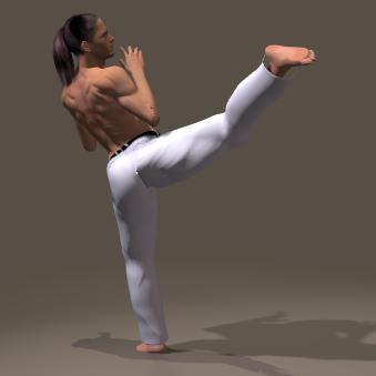 MAWASHI OTOSHI GERI