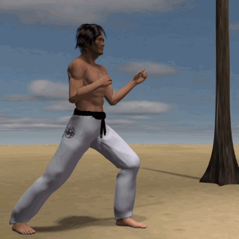 MAWASHI (USHIRO ASHI) TOBI GERI