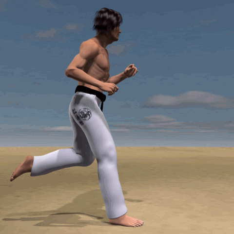 MAWASHI (USHIRO ASHI) TOBI GERI