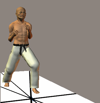 MAWASHI TOBI GERI