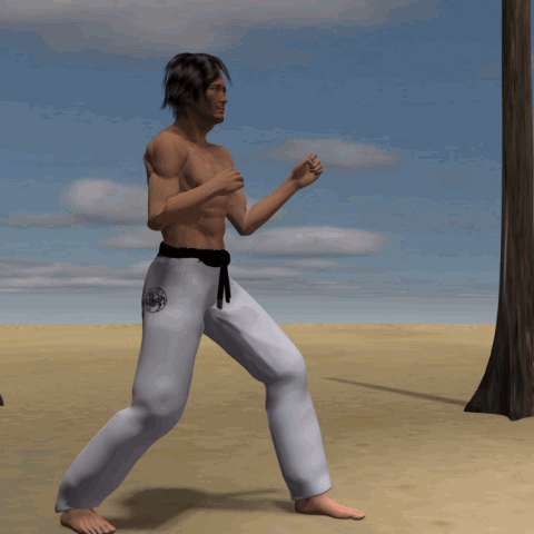 MAWASHI (USHIRO ASHI) TOBI GERI