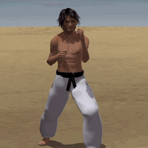  MAWASHI GERI WADO RYU