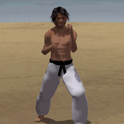 MAWASHI GERI WADO RYU
