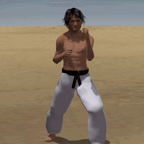 MAWASHI GERI WADO RYU