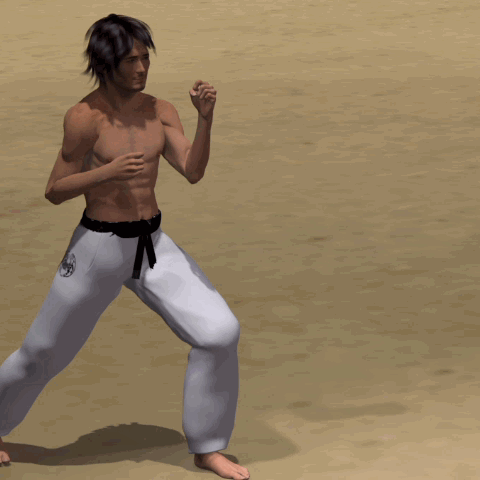 MAWASHI GERI WADO RYU