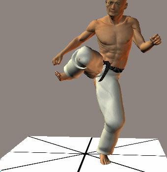 MAWASHI USHIRO ASHI GERI
