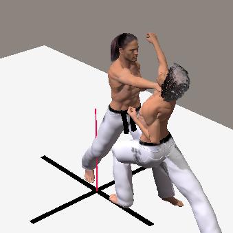 MAWASHI GYAKU TSUKI
