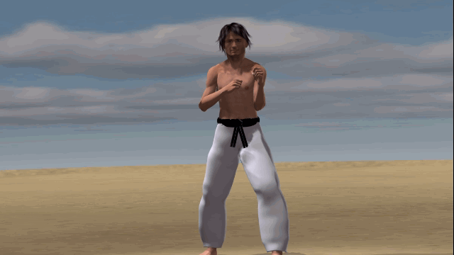 USHIRO URA MIKAZUKI GERI