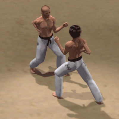 USHIRO MAWASHI KAKATO GERI