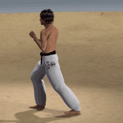 USHIRO MAWASHI TOBI GERI