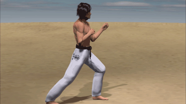 KAKATO MAE GERI
