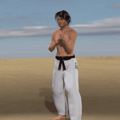 URA MAWASHI GERI