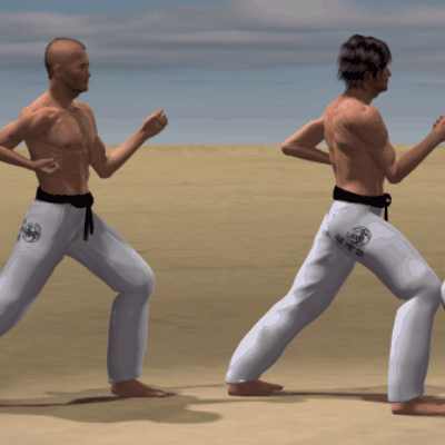 USHIRO KAKE GERI