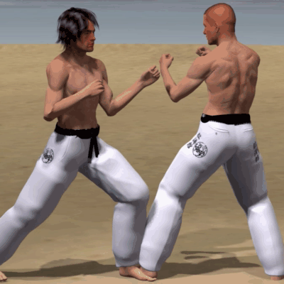 MAWASHI AGE HIZA GERI