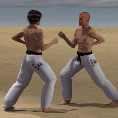 KAKATO MAWASHI GERI