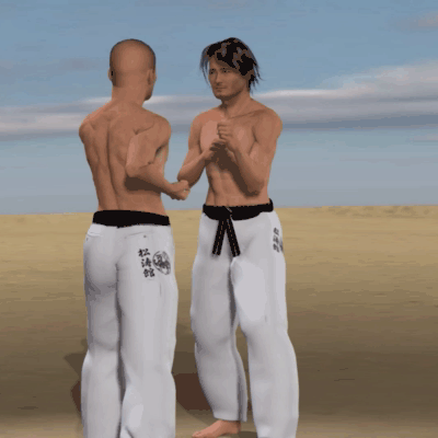 URA MAWASHI GERI