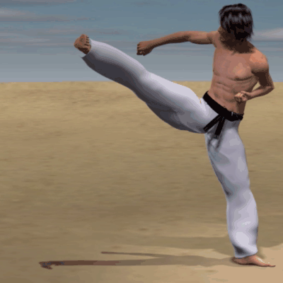 USHIRO MAWASHI GERI