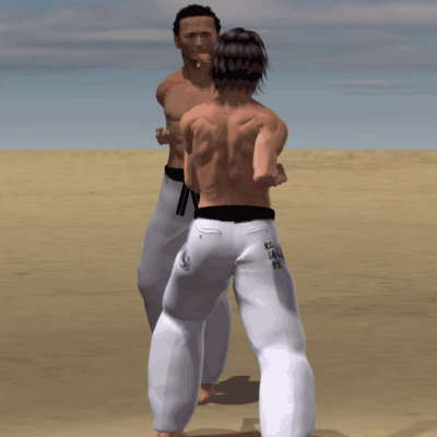 USHIRO MAWASHI GERI  ASHI MAWATTE