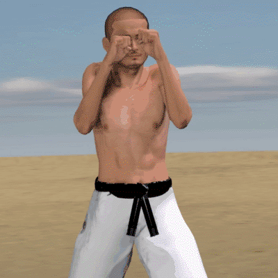 TETSUI SHOMEN UCHI