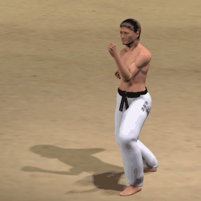 MIKAZUKI GERI