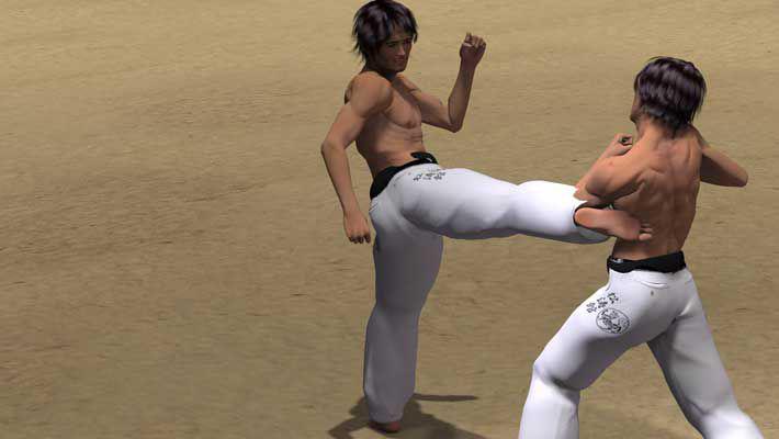MAWASHI GERI (USHIRO ASHI)