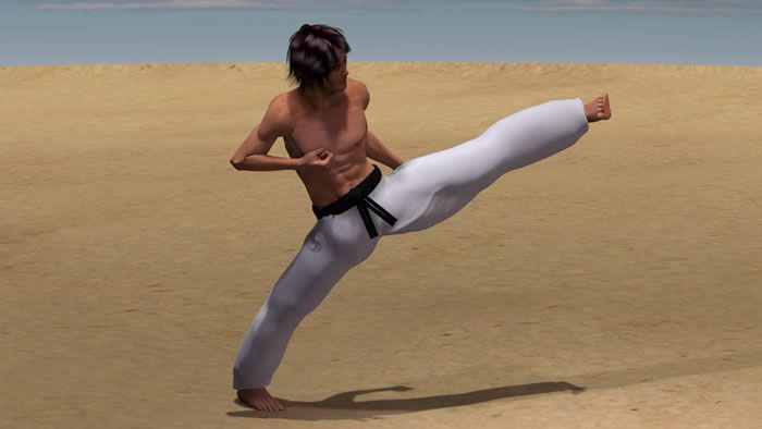 SURI KONDE MAWASHI GERI