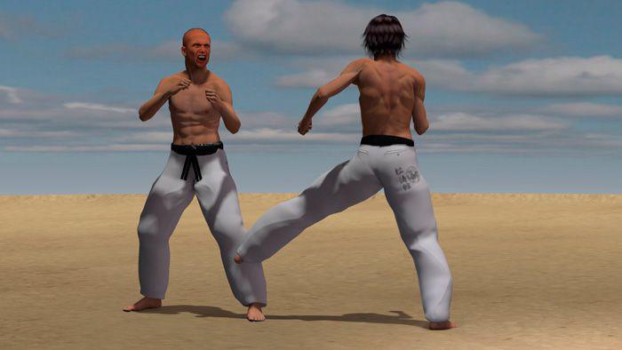 KAKATO MAWASHI GERI