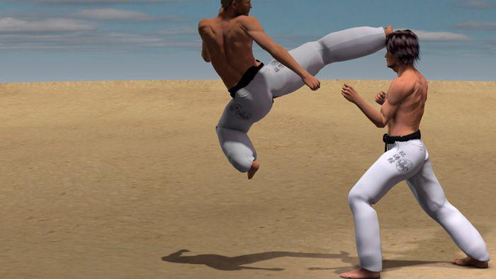 USHIRO MAWASHI TOBI GERI