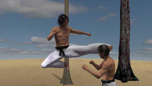 MAWASHI MAE ASHI TOBI GERI