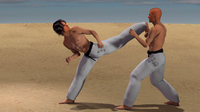 USHIRO ASHI USHIRO GERI