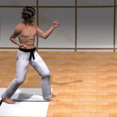 GIROS EN KARATE