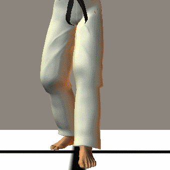 NEKO ASHI DACHI