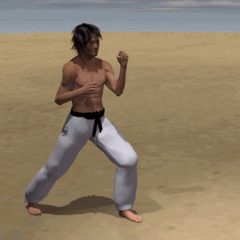 YOKO GERI