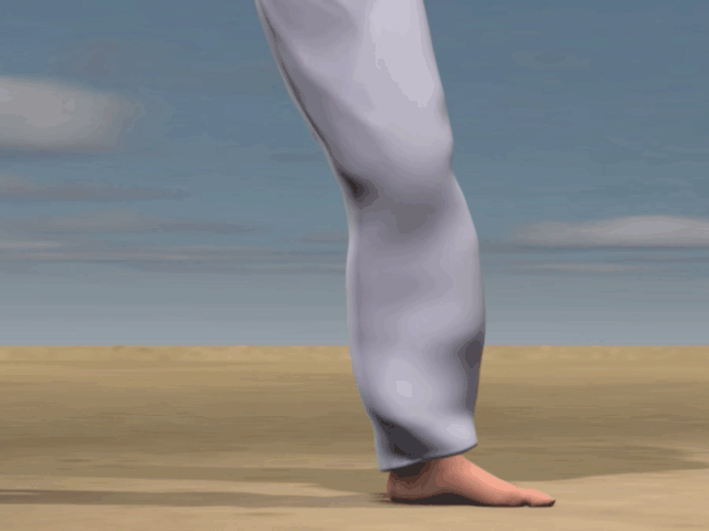 MAWASHI KAKATO GERI  