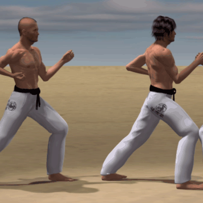 USHIRO KAKE GERI