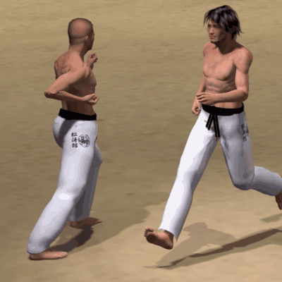 MAWASHI KAKATO GERI  